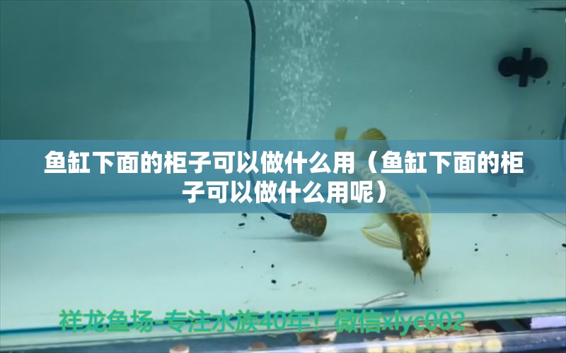 魚缸下面的柜子可以做什么用（魚缸下面的柜子可以做什么用呢）