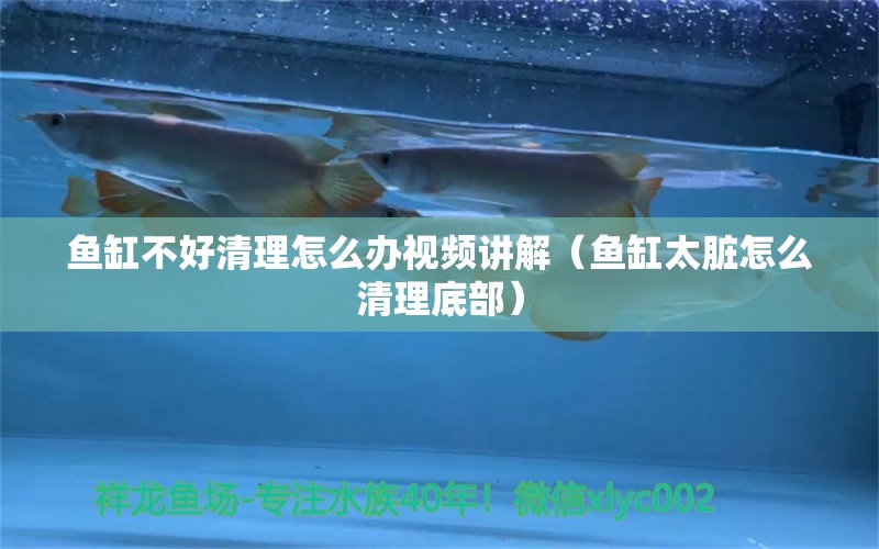 魚缸不好清理怎么辦視頻講解（魚缸太臟怎么清理底部）