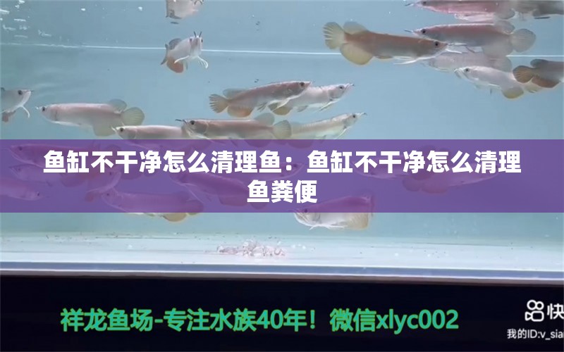 魚(yú)缸不干凈怎么清理魚(yú)：魚(yú)缸不干凈怎么清理魚(yú)糞便