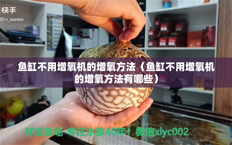 魚缸不用增氧機的增氧方法（魚缸不用增氧機的增氧方法有哪些） 奈及利亞紅圓點狗頭