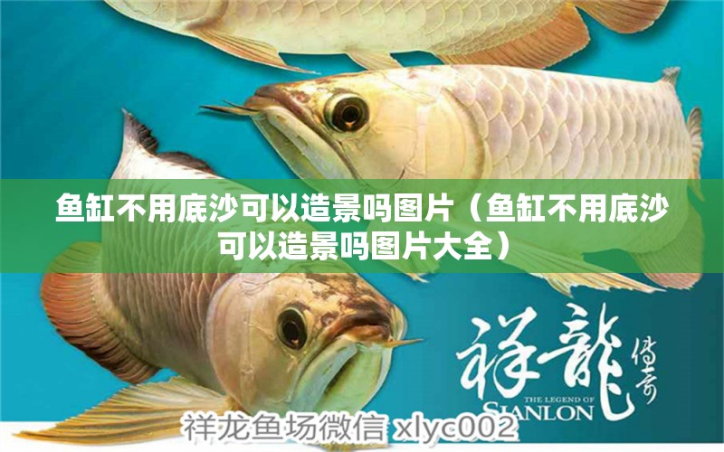 魚缸不用底沙可以造景嗎圖片（魚缸不用底沙可以造景嗎圖片大全）