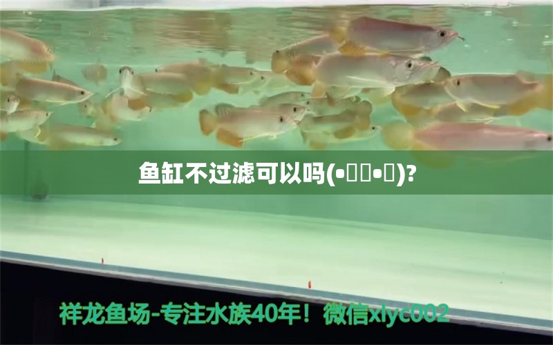 魚缸不過濾可以嗎(?????)? 龍魚芯片掃碼器