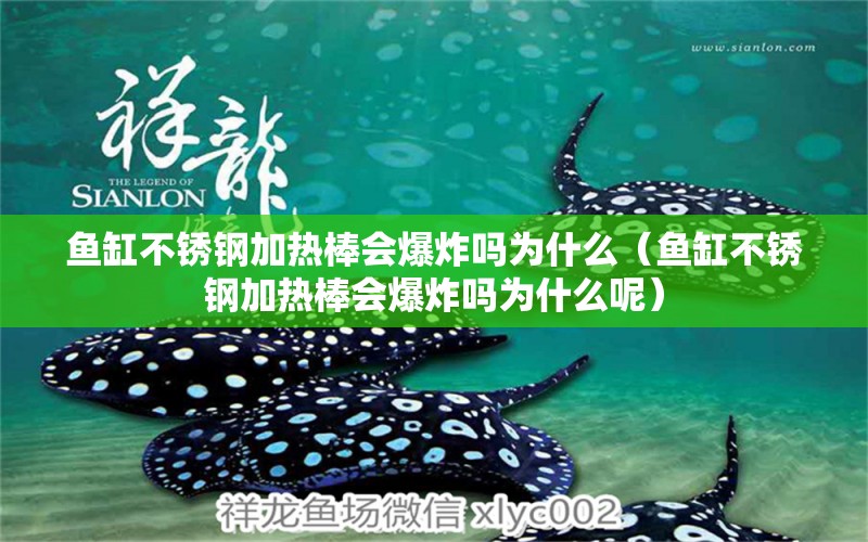 魚(yú)缸不銹鋼加熱棒會(huì)爆炸嗎為什么（魚(yú)缸不銹鋼加熱棒會(huì)爆炸嗎為什么呢）