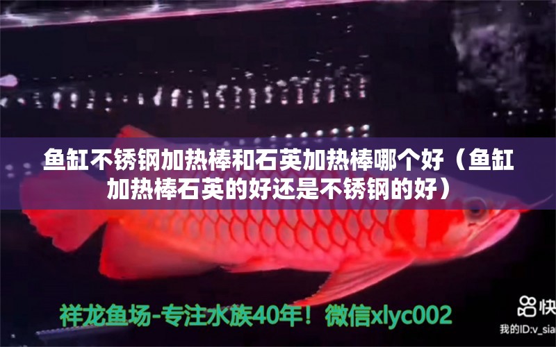 魚缸不銹鋼加熱棒和石英加熱棒哪個好（魚缸加熱棒石英的好還是不銹鋼的好）