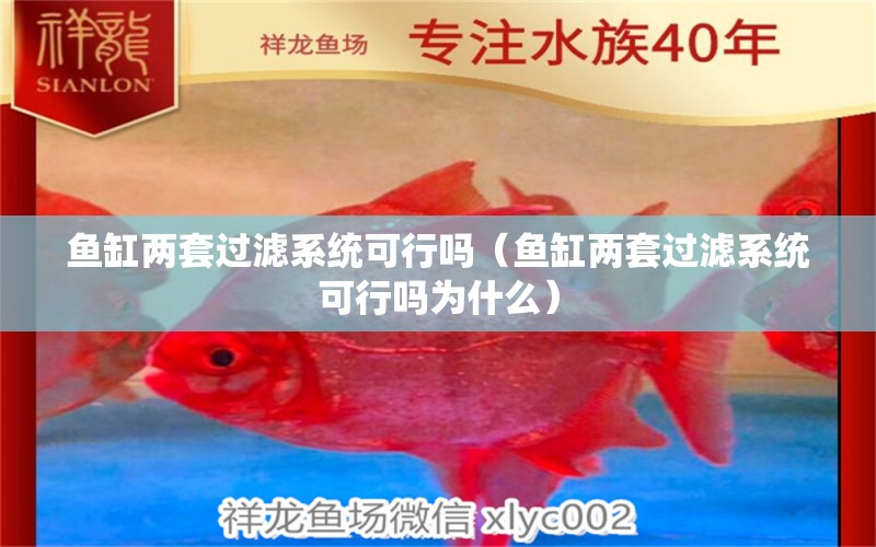 魚缸兩套過濾系統(tǒng)可行嗎（魚缸兩套過濾系統(tǒng)可行嗎為什么）