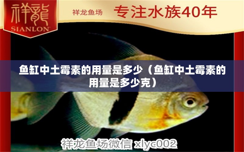 魚缸中土霉素的用量是多少（魚缸中土霉素的用量是多少克）