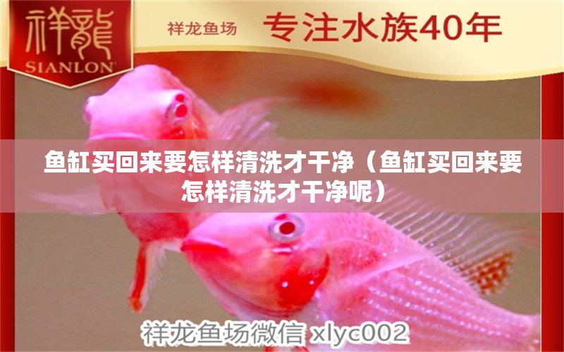 魚缸買回來要怎樣清洗才干凈（魚缸買回來要怎樣清洗才干凈呢） 量子養(yǎng)魚技術