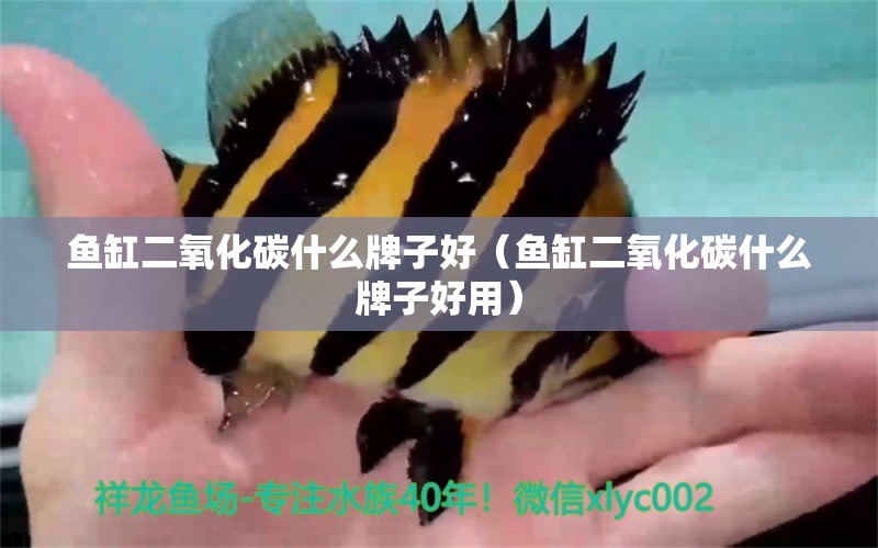 魚缸二氧化碳什么牌子好（魚缸二氧化碳什么牌子好用） 二氧化碳設備