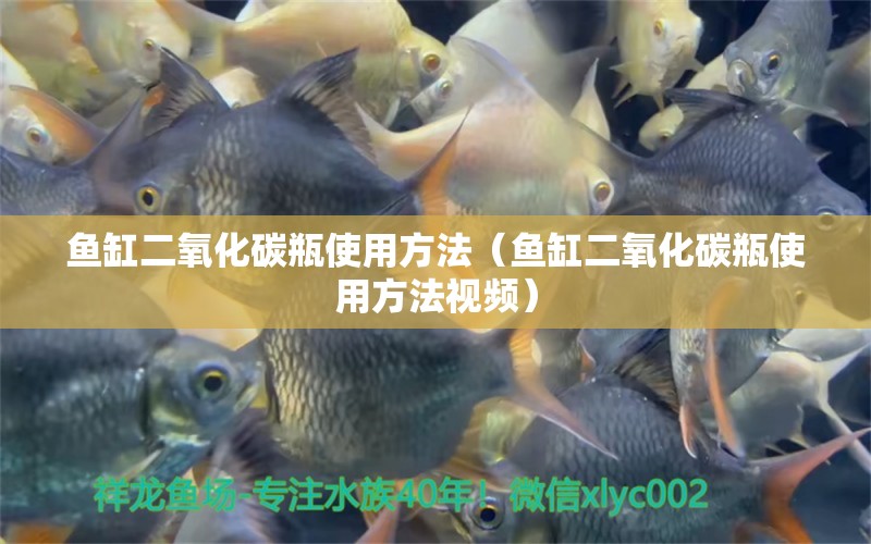 魚(yú)缸二氧化碳瓶使用方法（魚(yú)缸二氧化碳瓶使用方法視頻）