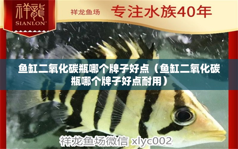 魚缸二氧化碳瓶哪個牌子好點（魚缸二氧化碳瓶哪個牌子好點耐用） 二氧化碳設(shè)備