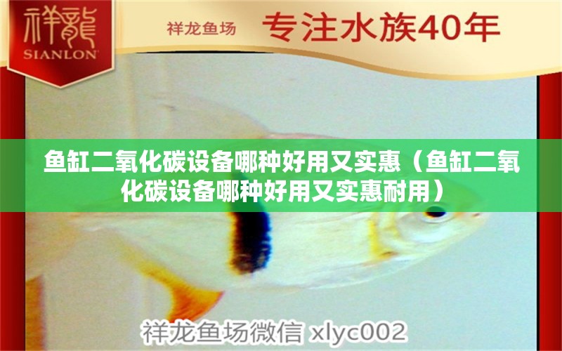 魚缸二氧化碳設(shè)備哪種好用又實惠（魚缸二氧化碳設(shè)備哪種好用又實惠耐用） 二氧化碳設(shè)備