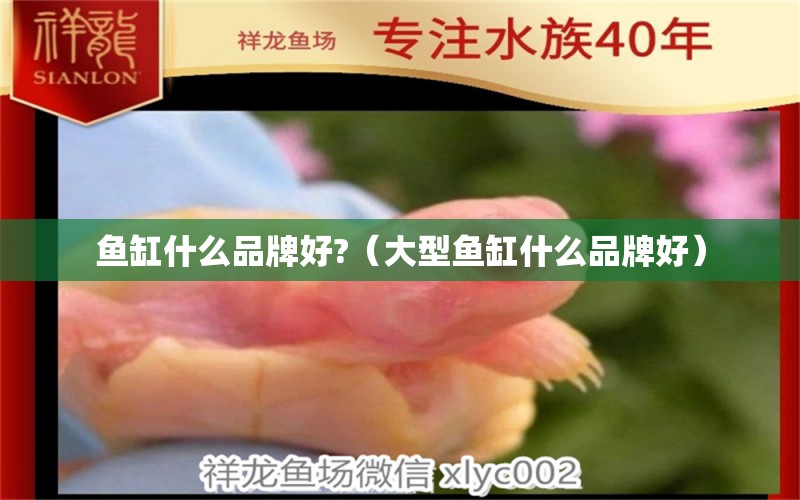 魚缸什么品牌好?（大型魚缸什么品牌好）