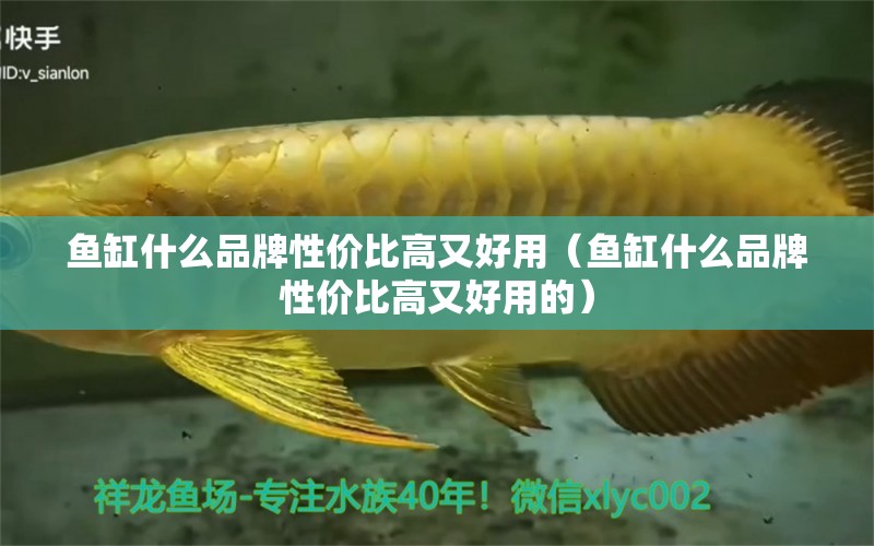 魚(yú)缸什么品牌性價(jià)比高又好用（魚(yú)缸什么品牌性價(jià)比高又好用的） 祥龍水族醫(yī)院