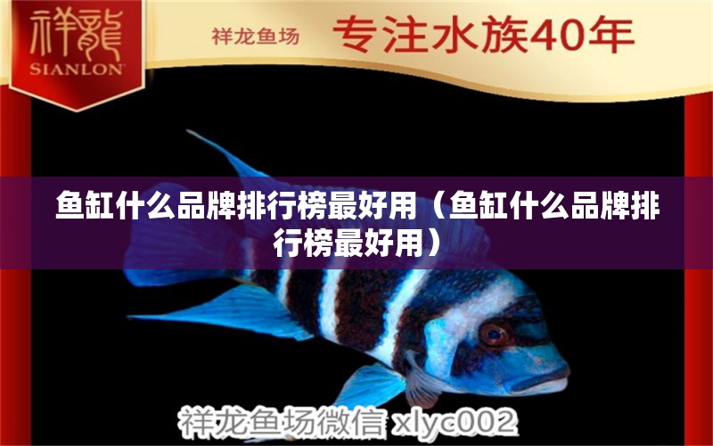 魚缸什么品牌排行榜最好用（魚缸什么品牌排行榜最好用）