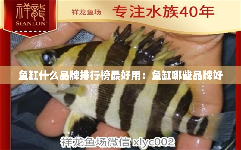 魚缸什么品牌排行榜最好用：魚缸哪些品牌好