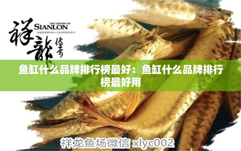 魚缸什么品牌排行榜最好：魚缸什么品牌排行榜最好用 廣州龍魚批發(fā)市場