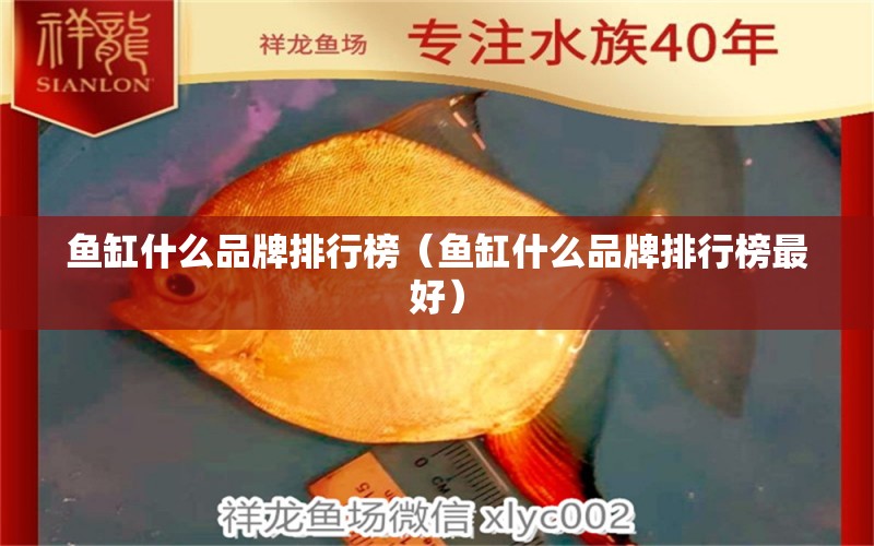 魚缸什么品牌排行榜（魚缸什么品牌排行榜最好） 其他品牌魚缸