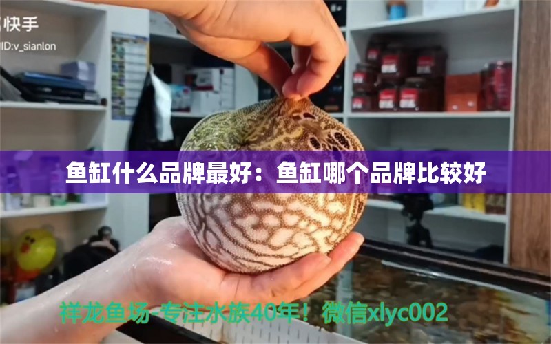 魚缸什么品牌最好：魚缸哪個品牌比較好