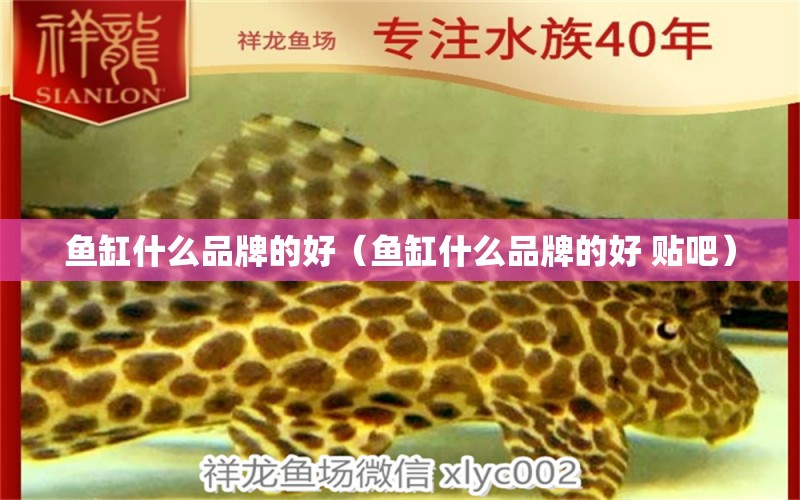 魚缸什么品牌的好（魚缸什么品牌的好 貼吧） 其他品牌魚缸