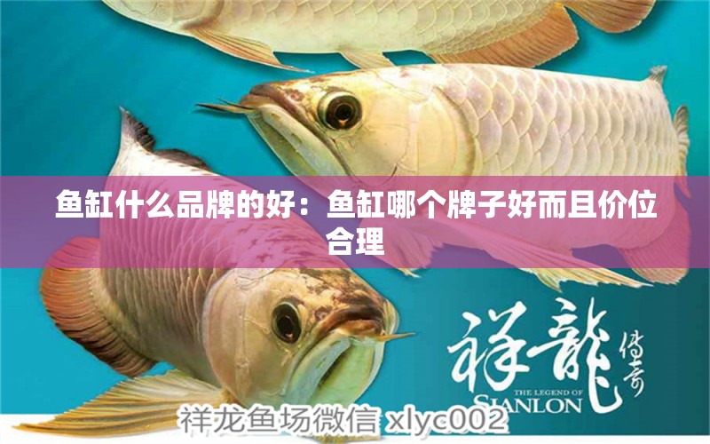 魚缸什么品牌的好：魚缸哪個牌子好而且價位合理