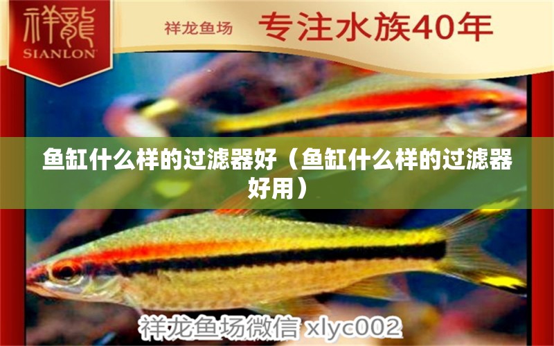 魚缸什么樣的過濾器好（魚缸什么樣的過濾器好用）