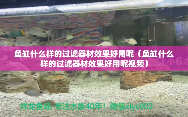 魚缸什么樣的過濾器材效果好用呢（魚缸什么樣的過濾器材效果好用呢視頻）