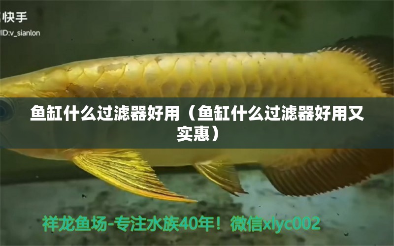 魚缸什么過濾器好用（魚缸什么過濾器好用又實(shí)惠）