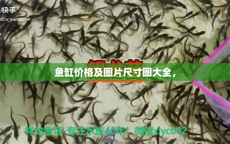 魚(yú)缸價(jià)格及圖片尺寸圖大全， 殺菌消毒設(shè)備