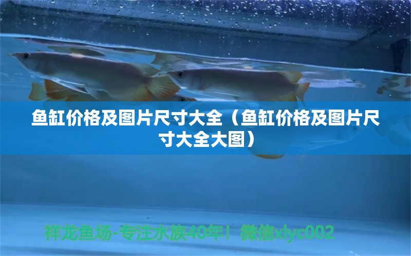 魚缸價(jià)格及圖片尺寸大全（魚缸價(jià)格及圖片尺寸大全大圖） 廣州觀賞魚批發(fā)市場(chǎng)