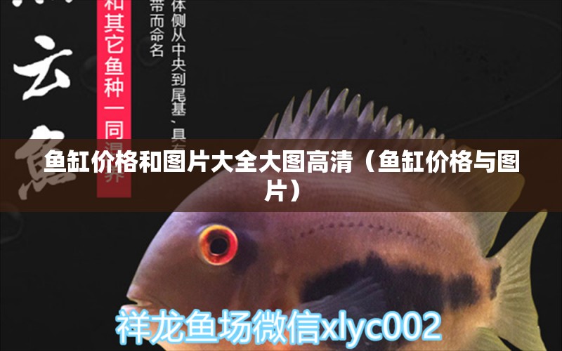 魚缸價格和圖片大全大圖高清（魚缸價格與圖片） 祥龍水族醫(yī)院