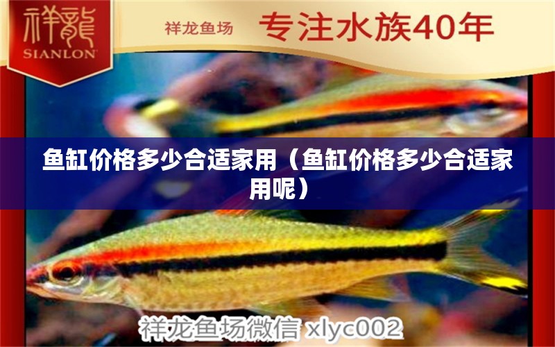 魚缸價格多少合適家用（魚缸價格多少合適家用呢）