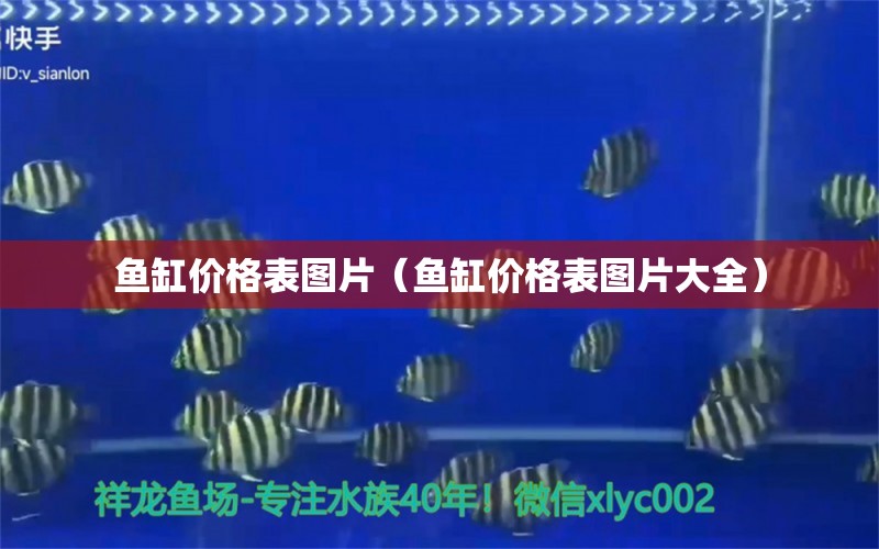 魚缸價(jià)格表圖片（魚缸價(jià)格表圖片大全） 觀賞魚市場(chǎng)（混養(yǎng)魚）