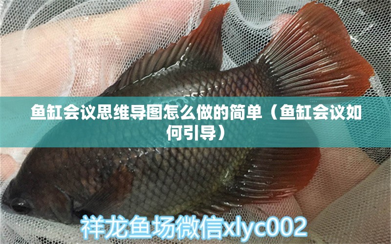 魚缸會(huì)議思維導(dǎo)圖怎么做的簡(jiǎn)單（魚缸會(huì)議如何引導(dǎo)）