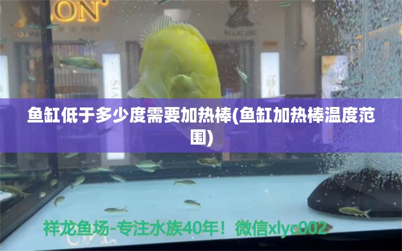 魚缸低于多少度需要加熱棒(魚缸加熱棒溫度范圍) 水族雜談