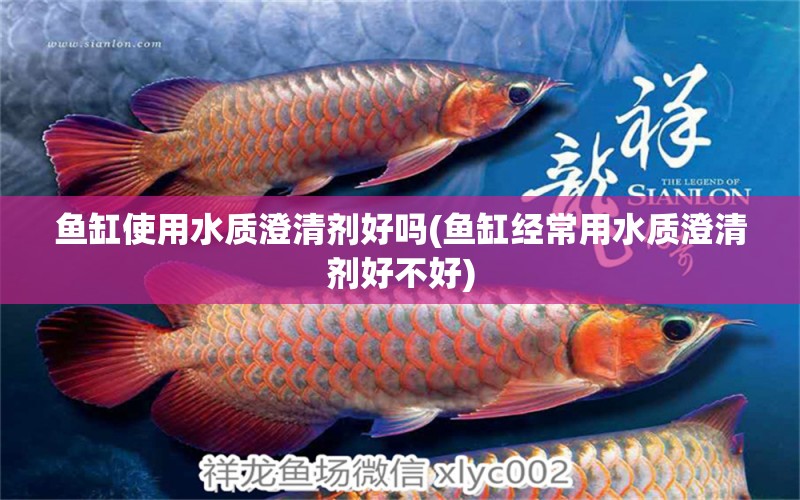 魚缸使用水質(zhì)澄清劑好嗎(魚缸經(jīng)常用水質(zhì)澄清劑好不好) 細(xì)線銀版魚 第1張