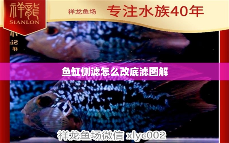 魚缸側(cè)濾怎么改底濾圖解 祥龍魚場(chǎng)