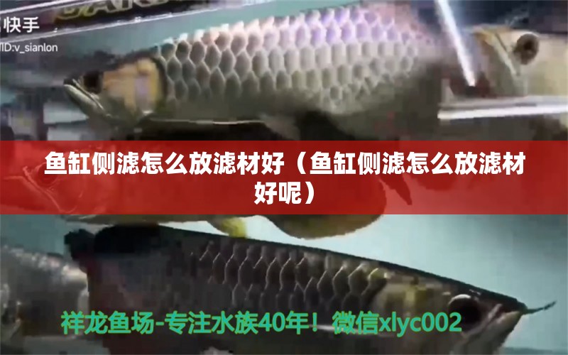 魚缸側(cè)濾怎么放濾材好（魚缸側(cè)濾怎么放濾材好呢）