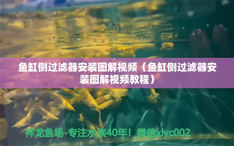 魚缸側(cè)過濾器安裝圖解視頻（魚缸側(cè)過濾器安裝圖解視頻教程）