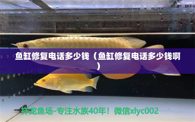 魚缸修復(fù)電話多少錢（魚缸修復(fù)電話多少錢?。?其他品牌魚缸