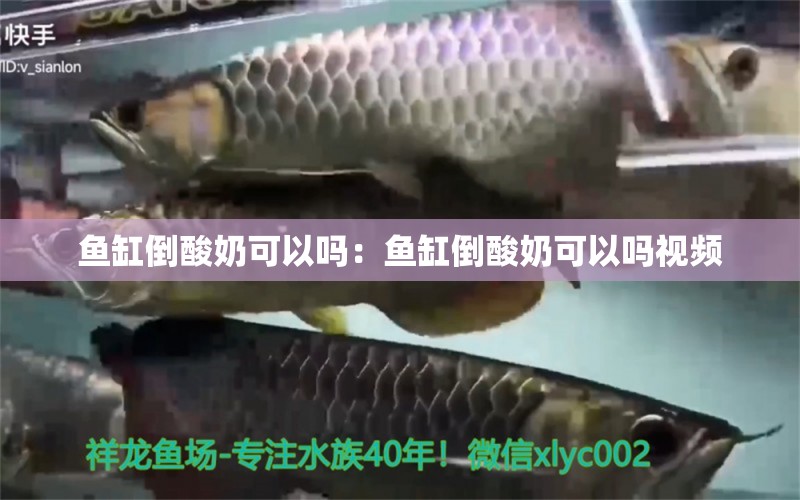 魚缸倒酸奶可以嗎：魚缸倒酸奶可以嗎視頻