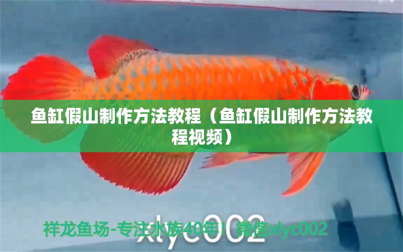 魚缸假山制作方法教程（魚缸假山制作方法教程視頻）