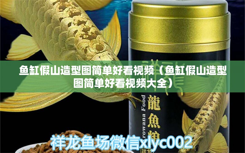 魚缸假山造型圖簡單好看視頻（魚缸假山造型圖簡單好看視頻大全）