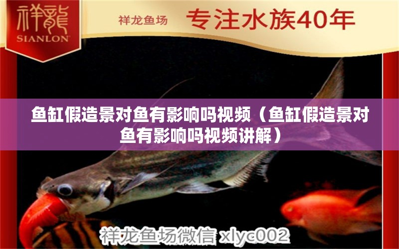 魚缸假造景對(duì)魚有影響嗎視頻（魚缸假造景對(duì)魚有影響嗎視頻講解）