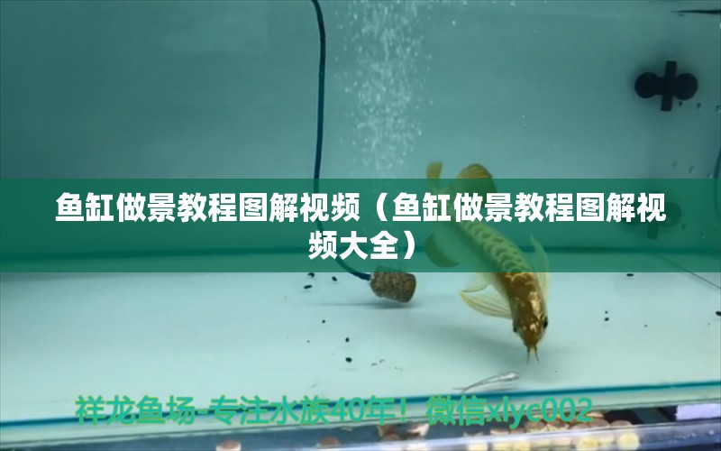 魚缸做景教程圖解視頻（魚缸做景教程圖解視頻大全）