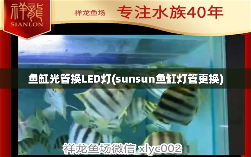 魚缸光管換LED燈(sunsun魚缸燈管更換) 白子銀龍魚苗