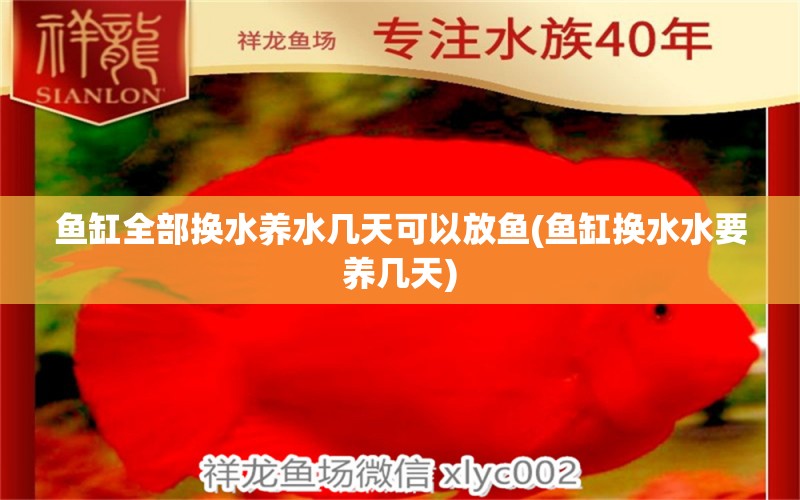 魚缸全部換水養(yǎng)水幾天可以放魚(魚缸換水水要養(yǎng)幾天) 白條過背金龍魚