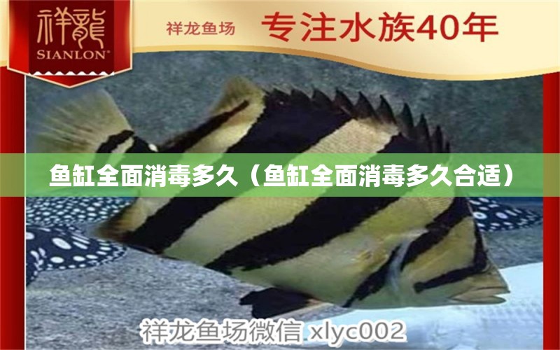 魚缸全面消毒多久（魚缸全面消毒多久合適） 藍(lán)帆三間魚