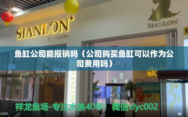 魚缸公司能報銷嗎（公司購買魚缸可以作為公司費用嗎）