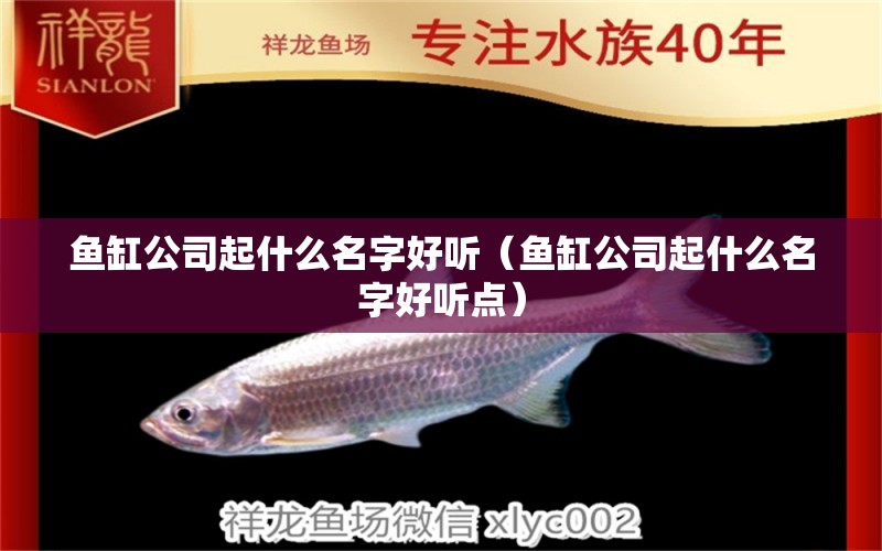 魚缸公司起什么名字好聽（魚缸公司起什么名字好聽點(diǎn)）