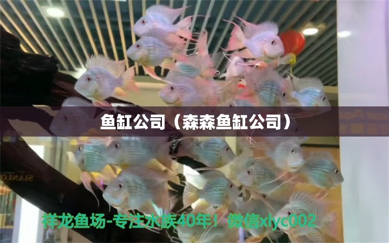 魚(yú)缸公司（森森魚(yú)缸公司） 其他品牌魚(yú)缸